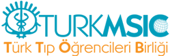 TurkMSIC Logo